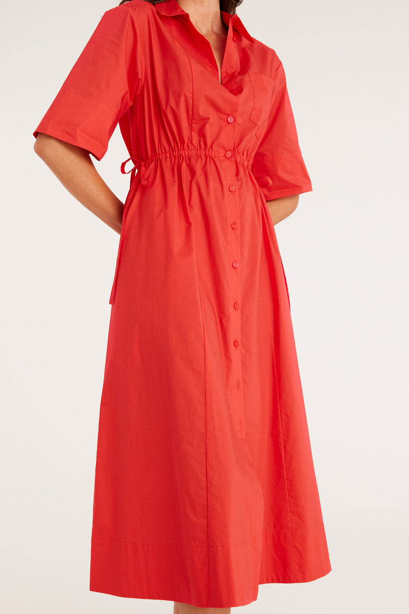 CSS23329_Tomato_03_nsychn_1688966250