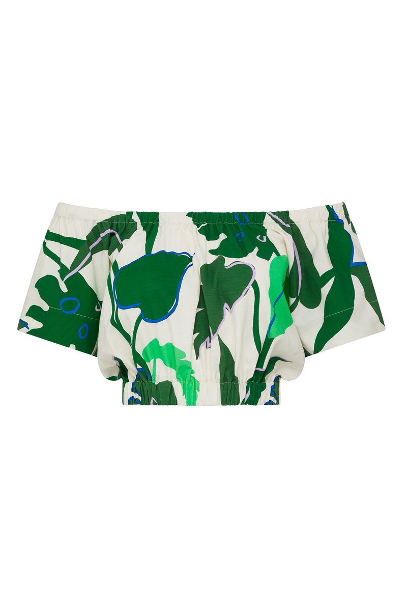 CSS23451_GreenPalm_02_d52mod_1696399172